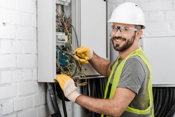 Best Affordable Electrician  in Monroe, MI