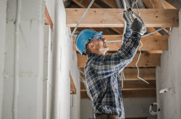 Professional Electrician in MI