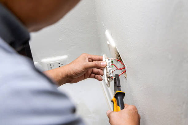 Best Local Electrician Companies  in Monroe, MI