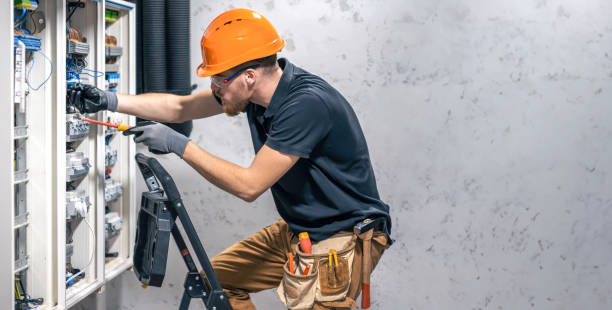 Best Electrical Rewiring Services  in Monroe, MI
